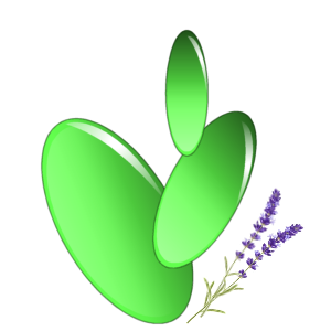 logo (24K)